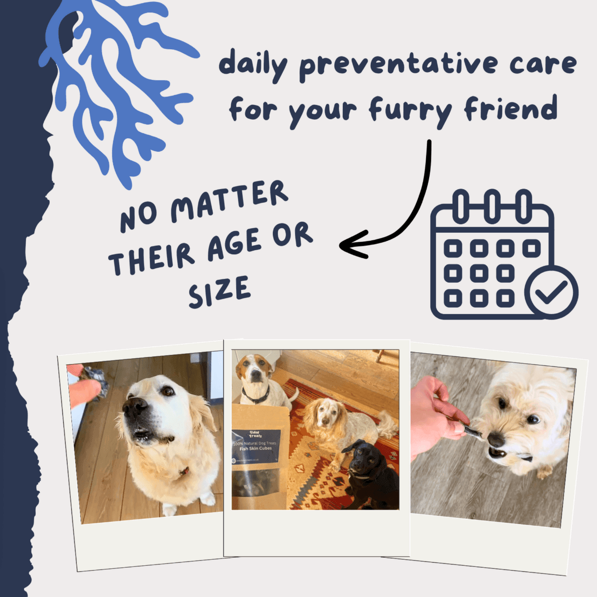 Fish Skin Cubes - 75g - Tidal Treats -