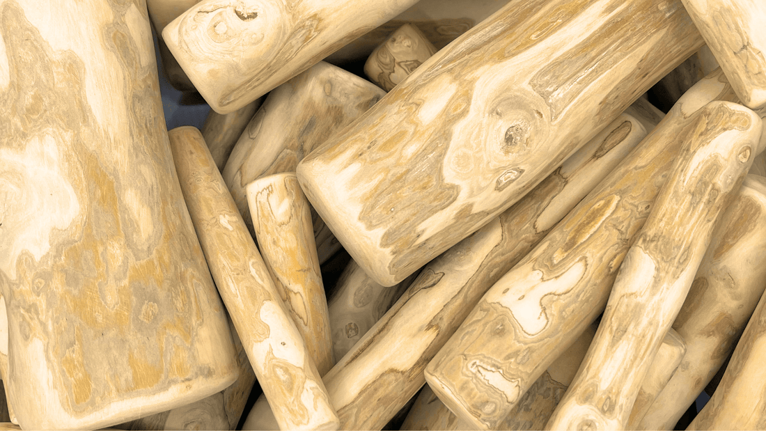 Is Coffee Wood The Perfect Natural Chew For Dogs? - Tidal Treats