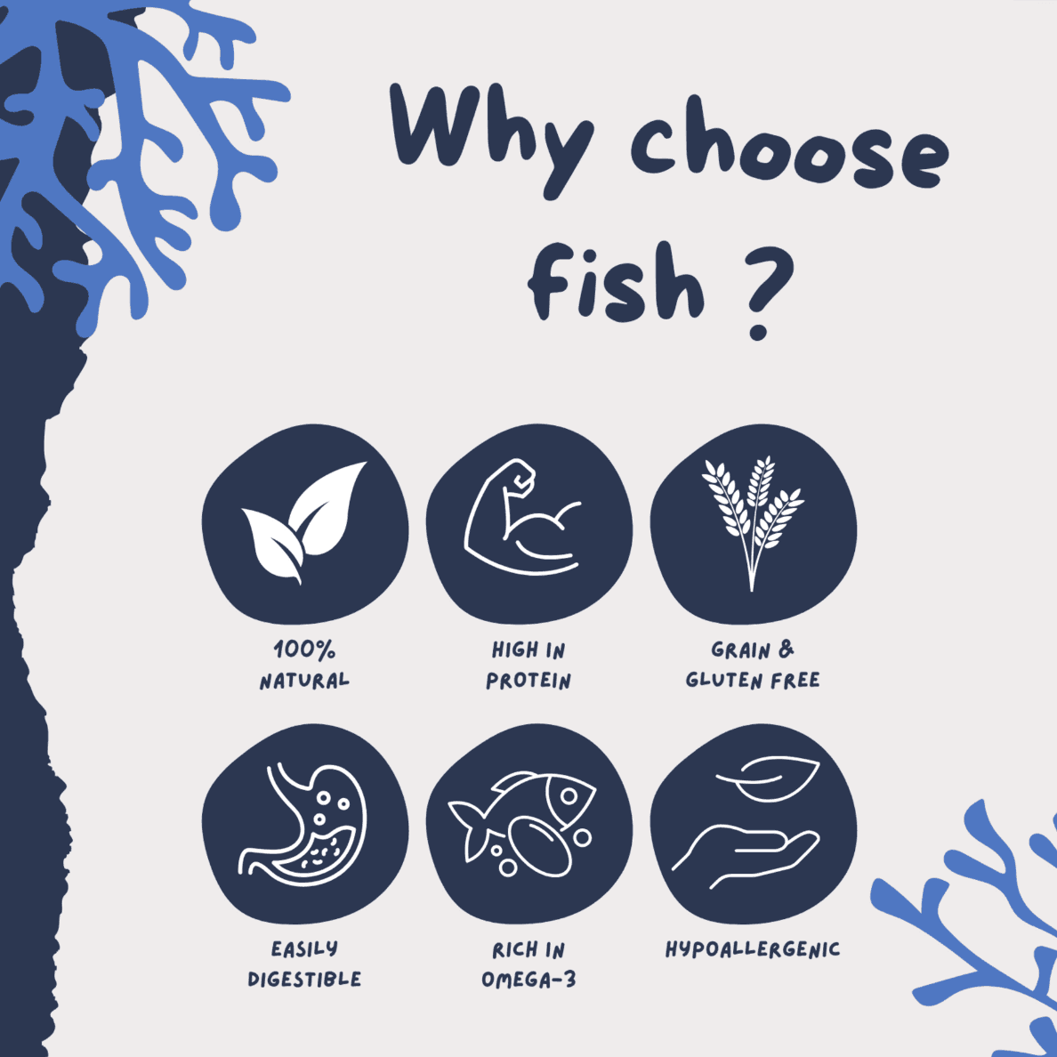 benefits of fish skin dog treats
