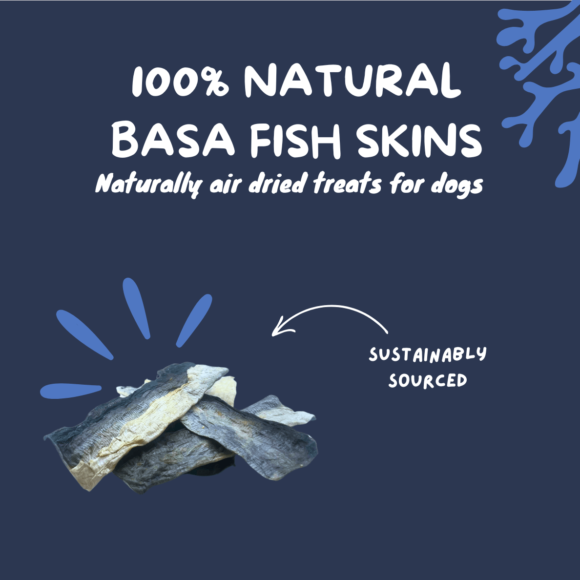Fish Skin Flatties - 5 large pieces - Tidal Treats - 
