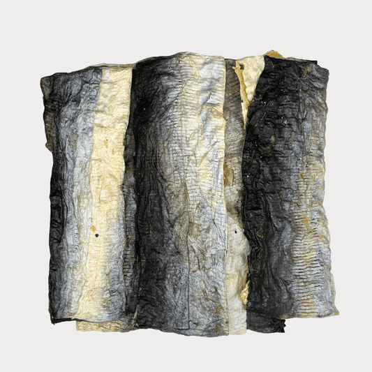 Fish Skin Flatties - Tidal Treats - 